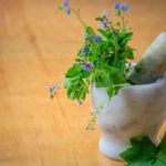 Understanding the Role of Herbal Remedies in Modern Healthcare