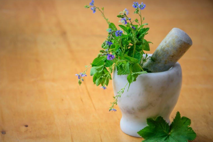 Understanding the Role of Herbal Remedies in Modern Healthcare