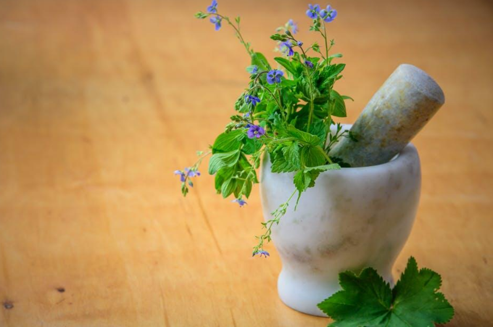 Understanding the Role of Herbal Remedies in Modern Healthcare