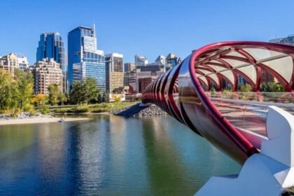 Unlocking Success: Business Networking in Alberta for Growth and Opportunity