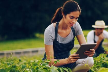 Boosting Life Quality Nobullswipe