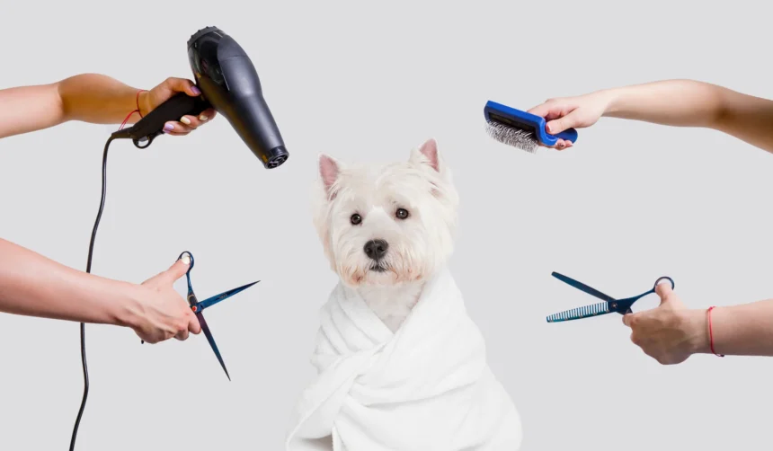 Dog Grooming Simplified: Tools That Make a Difference