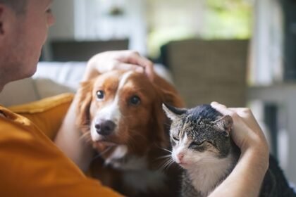 Pet Insurance Benefits – Saving Money While Keeping Pets Healthy
