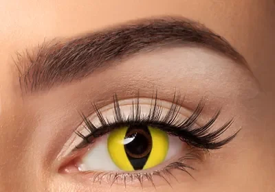 Novelty Contacts: The Perfect Accessory for Parties and Costumes