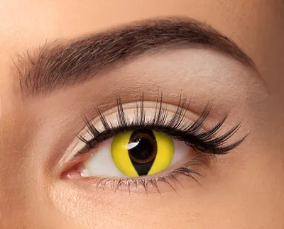 Novelty Contacts: The Perfect Accessory for Parties and Costumes