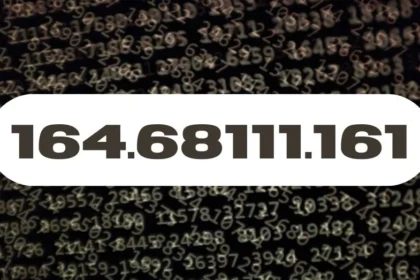 The Significance of 164.68111.161 in Modern Applications
