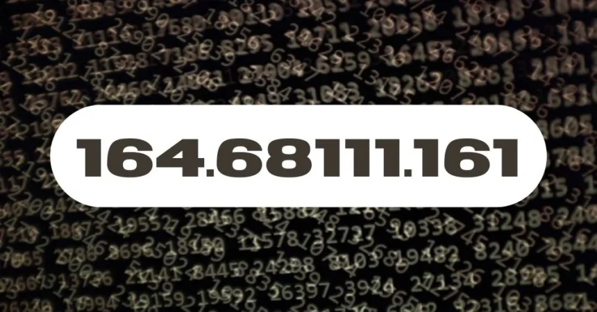 The Significance of 164.68111.161 in Modern Applications