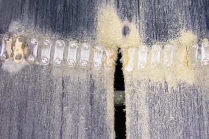 Types of Conveyor Belt Damage & Their Solution