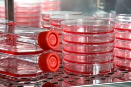 What is a CO2 Incubator?