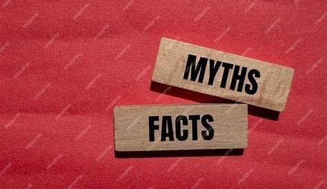 The Comprehensive Guide to lovelolablog fun facts