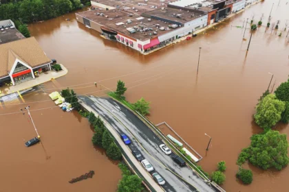 Loss Adjusters and Natural Disasters: A Look at Their Role After Major Events