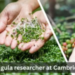 Arugula Researcher at Cambridge