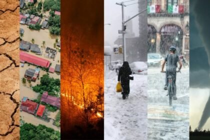 Seasonal Risks: How Changing Weather Patterns Impact Restoration Needs