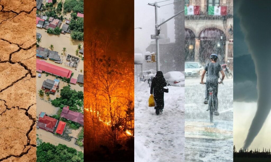 Seasonal Risks: How Changing Weather Patterns Impact Restoration Needs