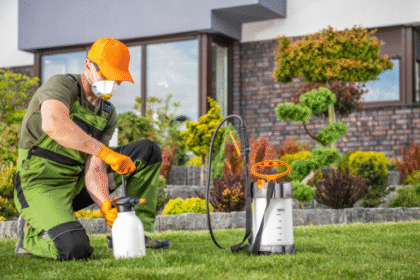 Protecting Your Home and the Environment with Eco-Friendly Pest Control