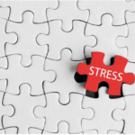 Effective Tools for Managing Stress in Florida Programs