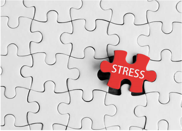 Effective Tools for Managing Stress in Florida Programs