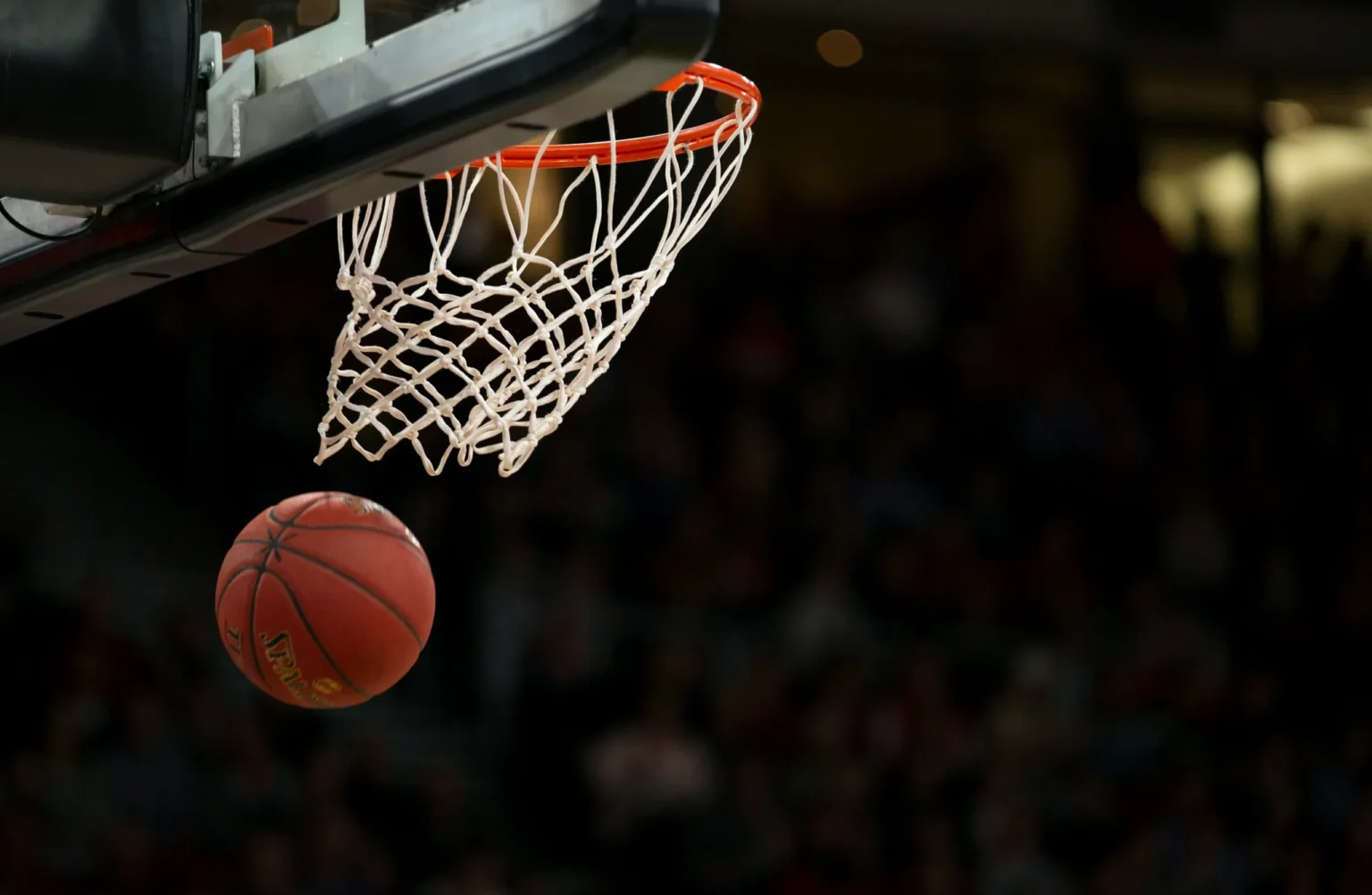 Basket Random GitHub