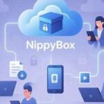 Nippybox: The Ultimate Subscription Box Experience