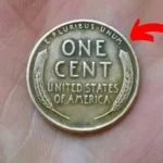 lincoln wheat penny valuation