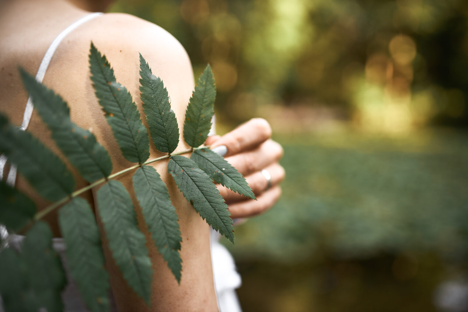 Is Kratom Legal in Canada? What You Need to Know in 2025