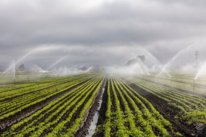 From Drip to Sprinkler: The Ultimate Guide to Efficient Irrigation
