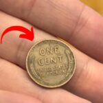 The Ultimate Guide to lincoln wheat penny valuation
