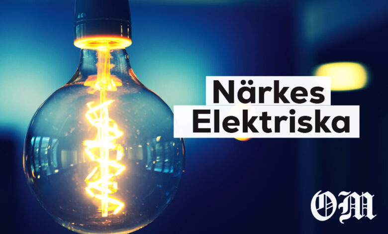 What Makes Närkes Elektriska (NEA) One of Sweden’s Top Electrical Providers?