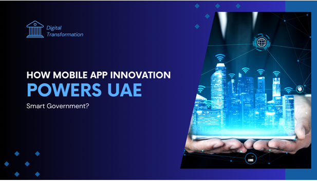 uae government digital transformation strategy