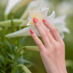Nail Studio for Rent in Calgary: Everything You Need to Know