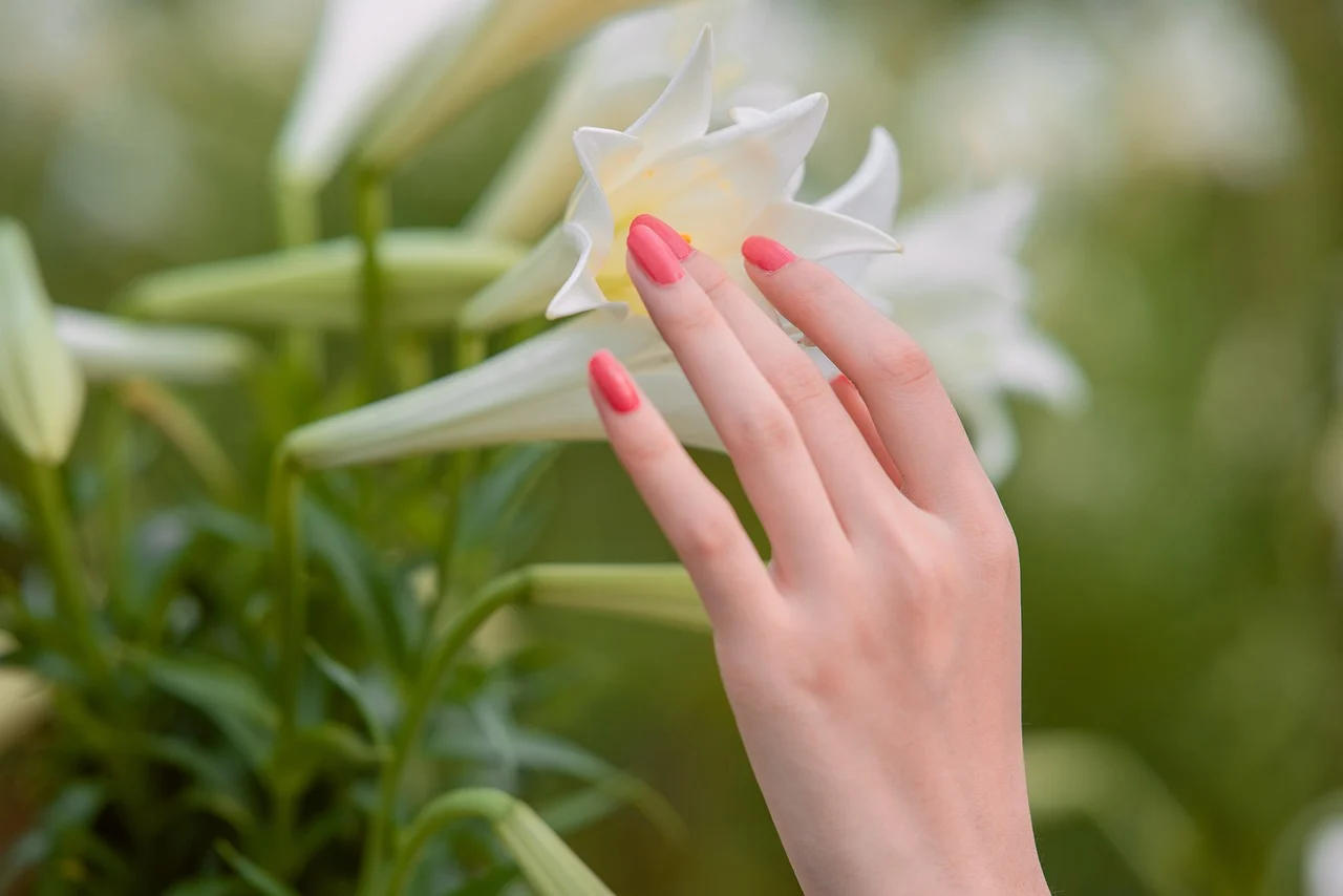 Nail Studio for Rent in Calgary: Everything You Need to Know