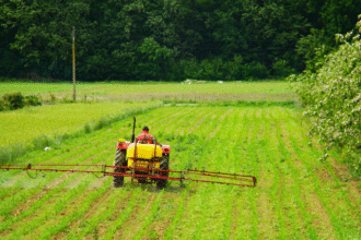 Knapsack Sprayers