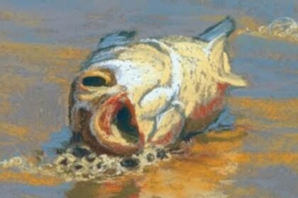 Discovering the Symbolism Behind Rita Kirkman Art Fish