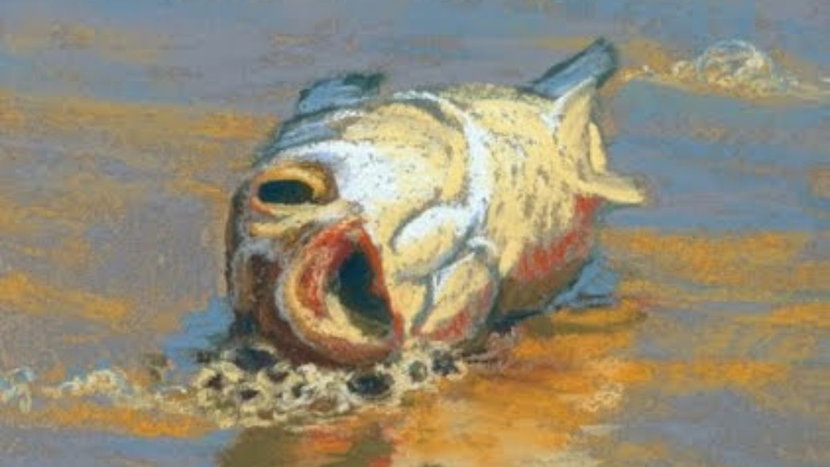 Discovering the Symbolism Behind Rita Kirkman Art Fish