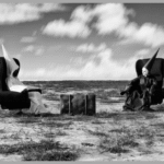 Sztavrosz: Unraveling the Origins, Culture, and Contemporary Relevance of a Forgotten Phenomenon