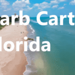 Barb Carter Florida: The Inspiring Journey of a Visionary Leader
