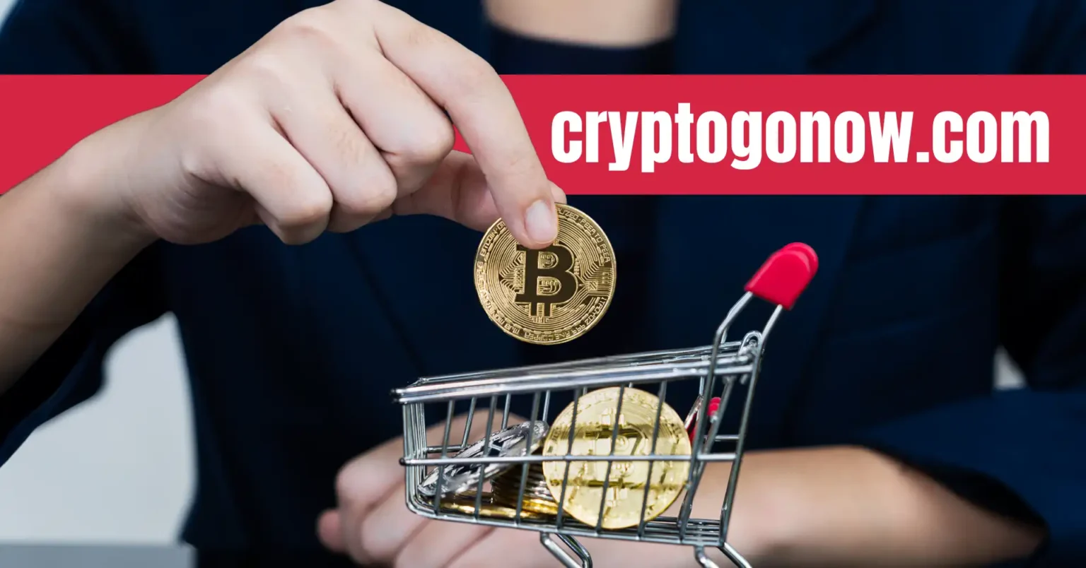 Cryptogonow: The One-Stop Platform for Crypto Enthusiasts