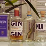Giniä: Inspiring Creative Expression Across Arts and Culture