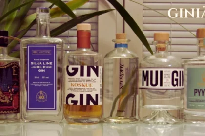 Giniä: Inspiring Creative Expression Across Arts and Culture