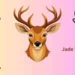 Jade Venison: A Leader in Sales and Merchandising at Nation LTD
