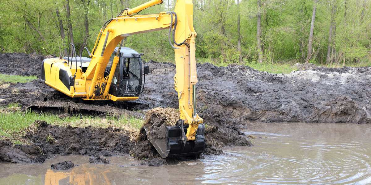 Engineering in the Muck: How Marsh Machinery Enables Wetland Survival