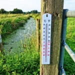 36.7 C to F Conversion: A Complete Temperature Guide