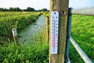 36.7 C to F Conversion: A Complete Temperature Guide