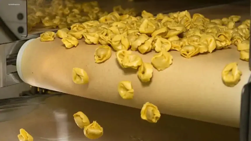 Discover The Benefits Of A Tortellinatrice