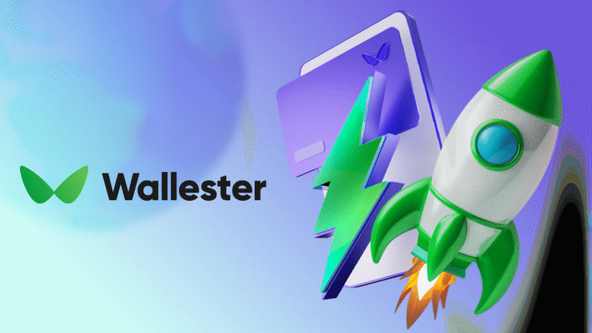 Expanding the Future of Payments: Wallester's 2024 Recap and Vision for 2025