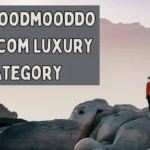 The www.goodmooddotcom.com Luxury Category