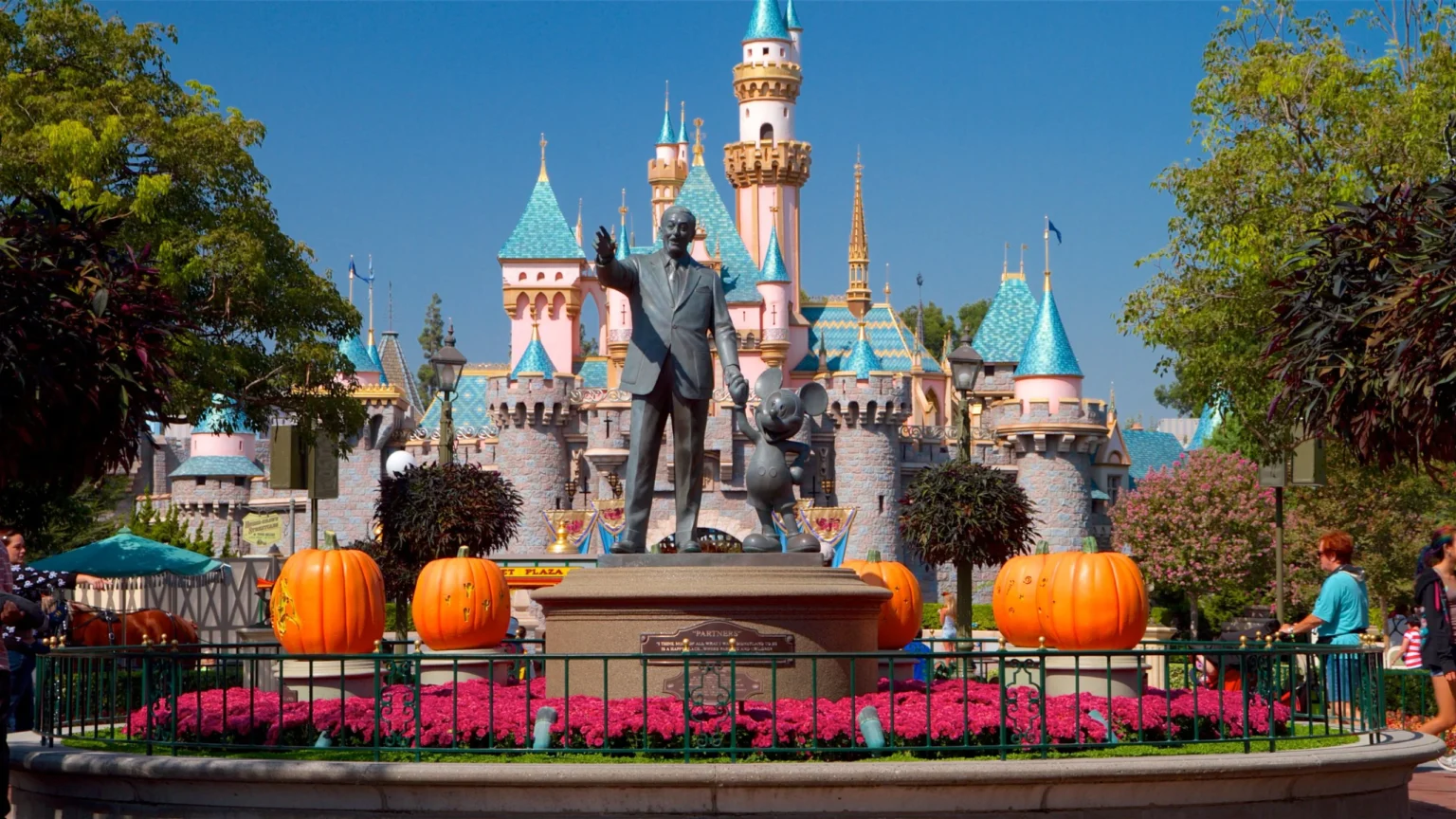 The Ultimate Guide to anaheim
