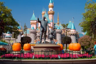 The Ultimate Guide to anaheim