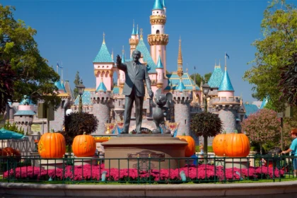 The Ultimate Guide to anaheim