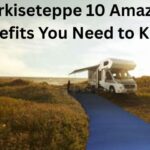 Markiseteppe 10 Amazing Benefits You Need to Know